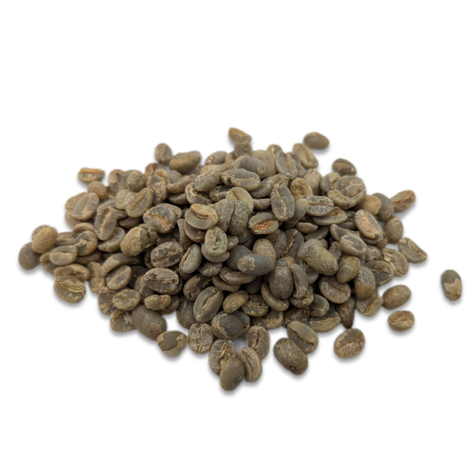 Colombia - Paraiso - Yellow Bourbon