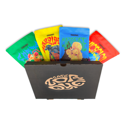 La toute garnie - Boîte découverte