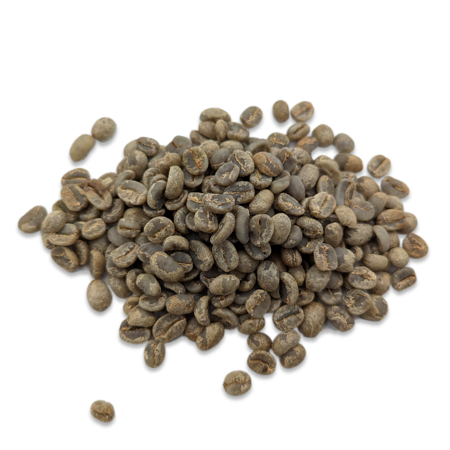 Guatemala - Coludo